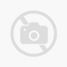 Viton Sponge Rubber Sheet